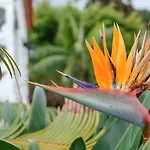 Casa Carmen *